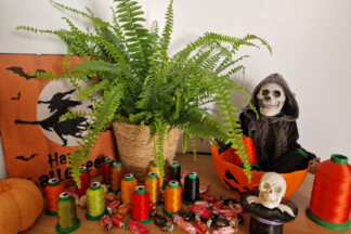 Même pas peur pour Halloween